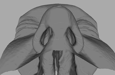 https://uitt.upct.es/storage/2025623102242_imagen1.png